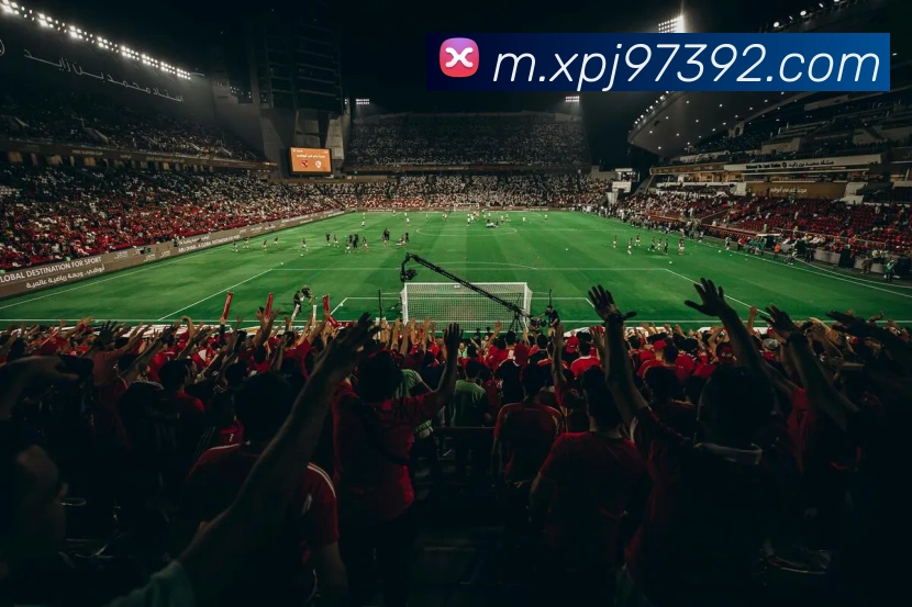 国际认证